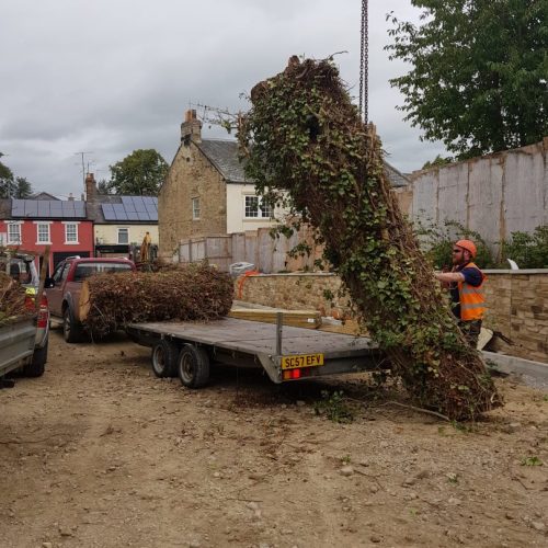 Hardings tree services