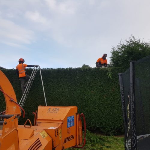 Hedge services