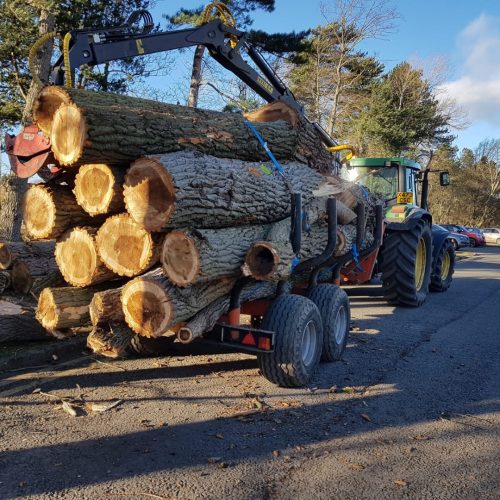 IMG-20240115-WA0068 (Large)